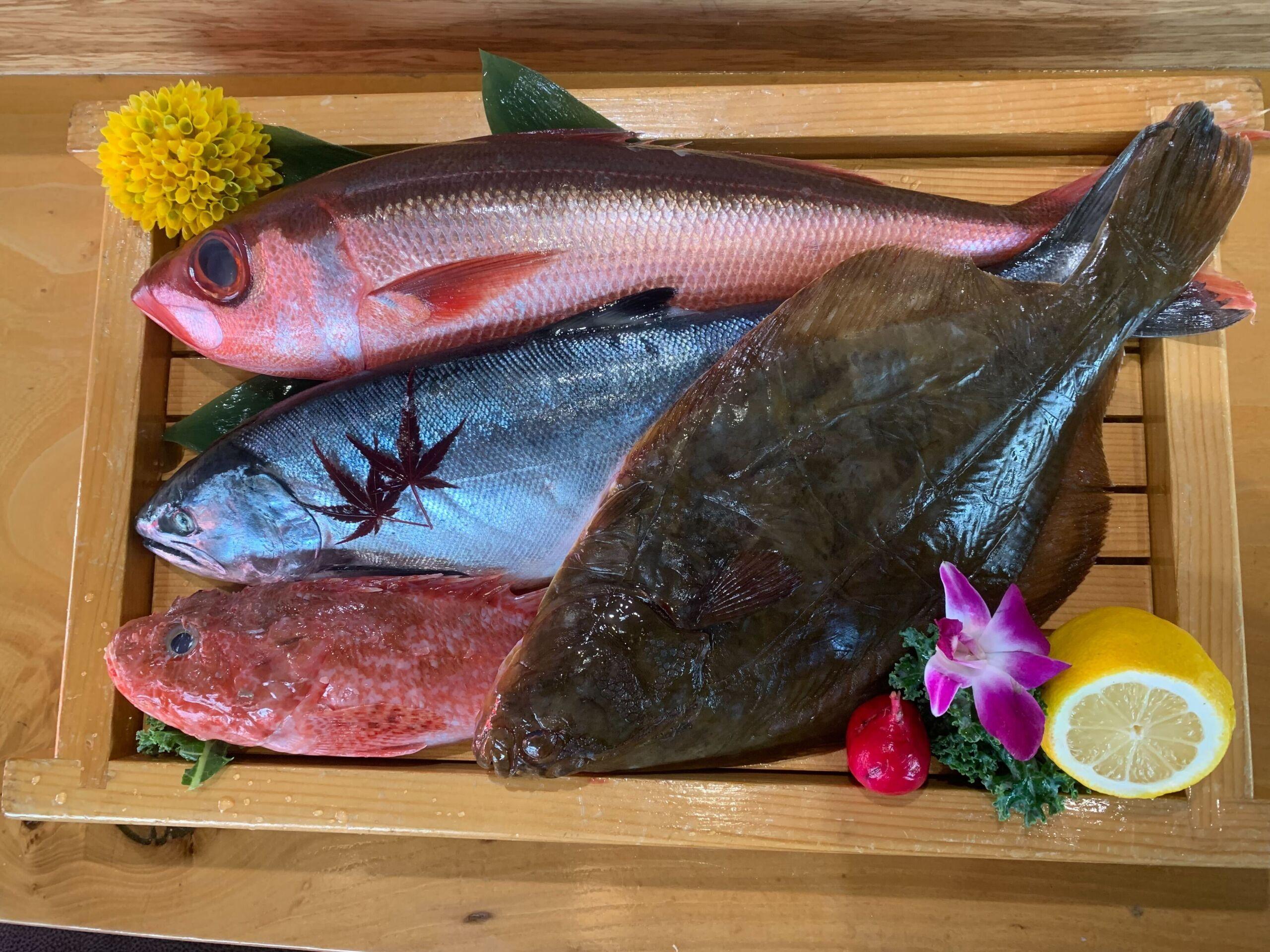 High quality fish